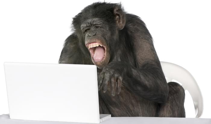 MailChimp Democratizes Email Automation