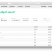 timecamp-budgeting