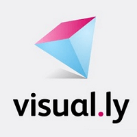 Visually logo