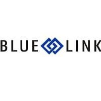 blue link logo