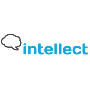 Interneer Intellect Logo