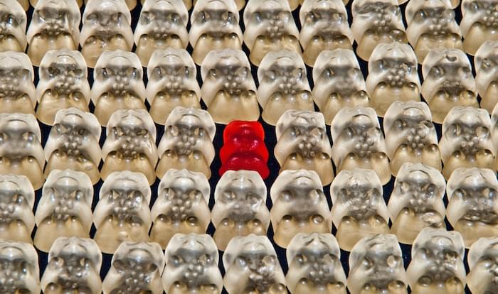 one red gummi bear in a sea of white