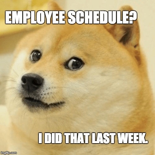 doge does the schedule