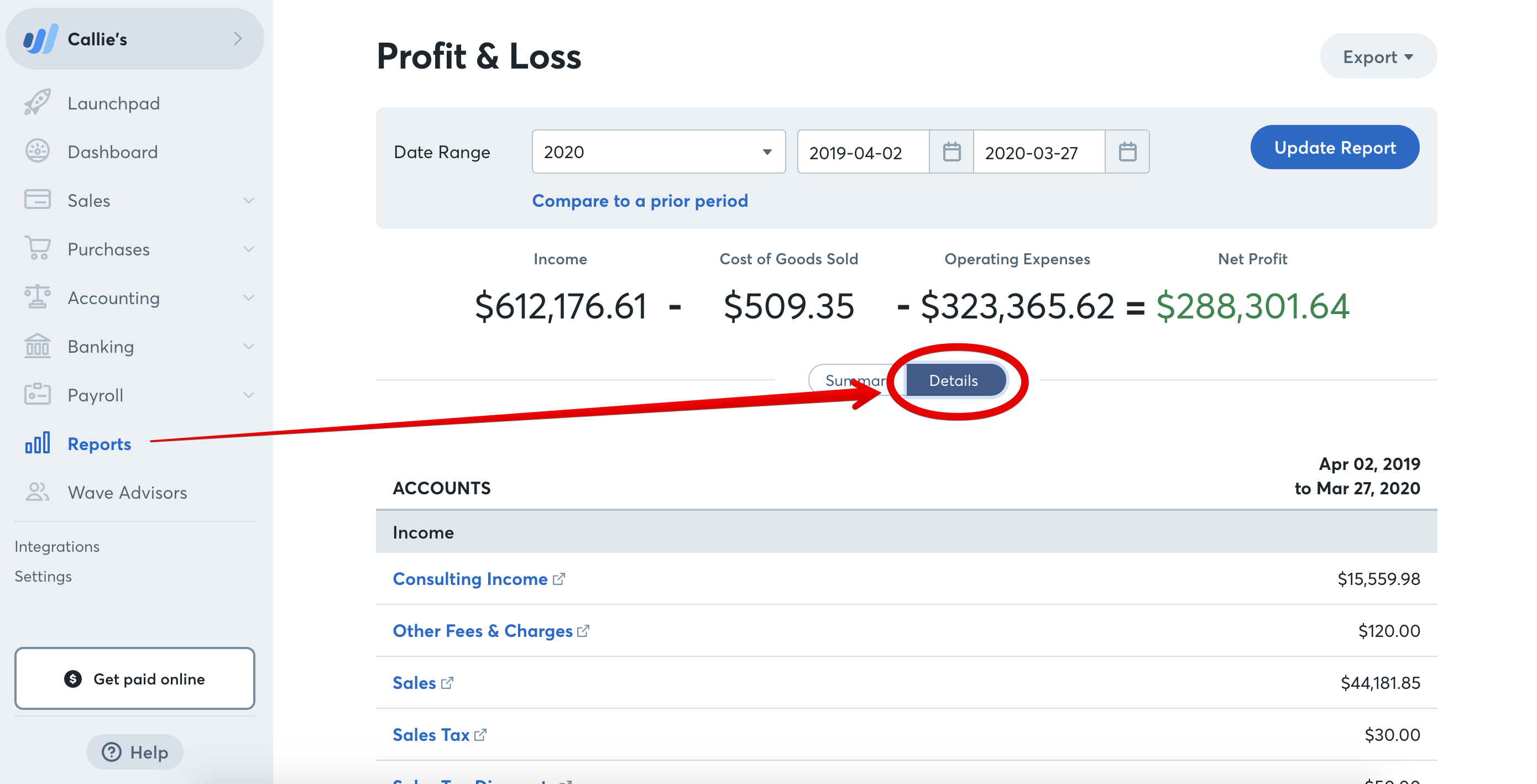 Wave profit and loss report example