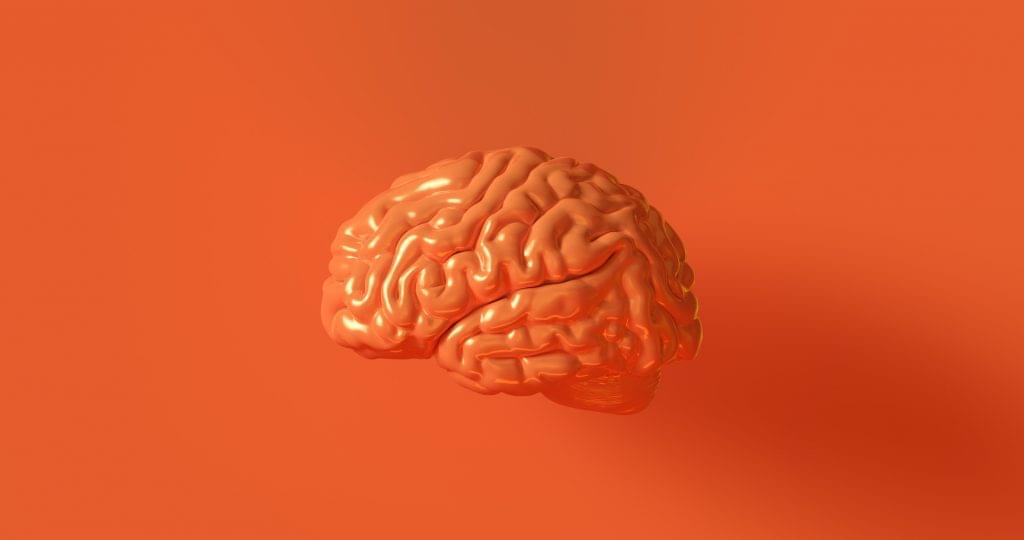 Human brain suspended in the air against an orange wall