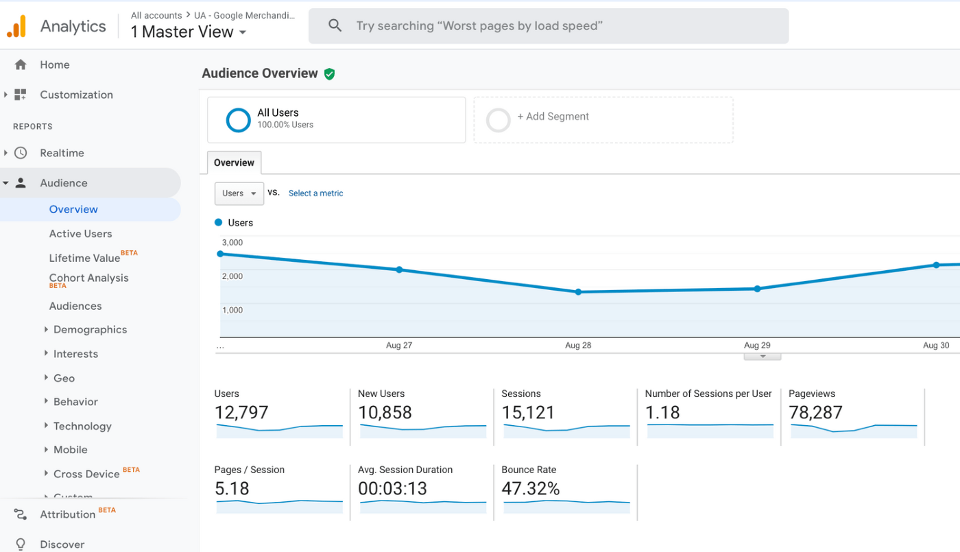 Google Analytics dashboard.