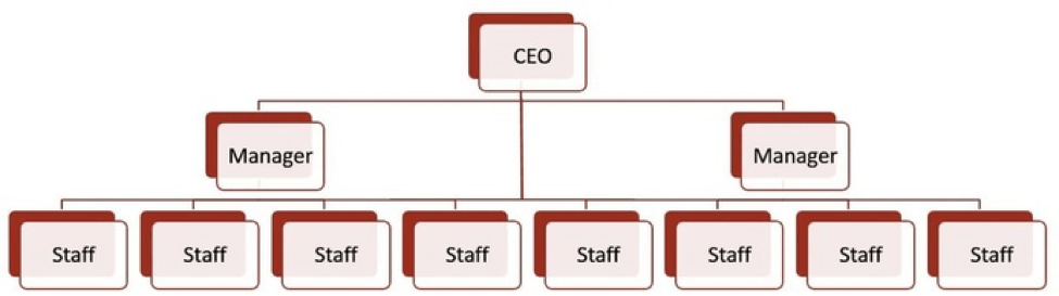 Best Org Chart Software And Templates Organizational Chart 2023