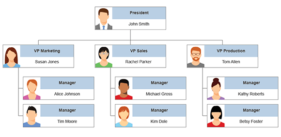 Functional top-down hierarchy organizational chart.