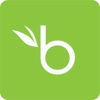 The BambooHR logo.