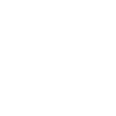 Dell Logo