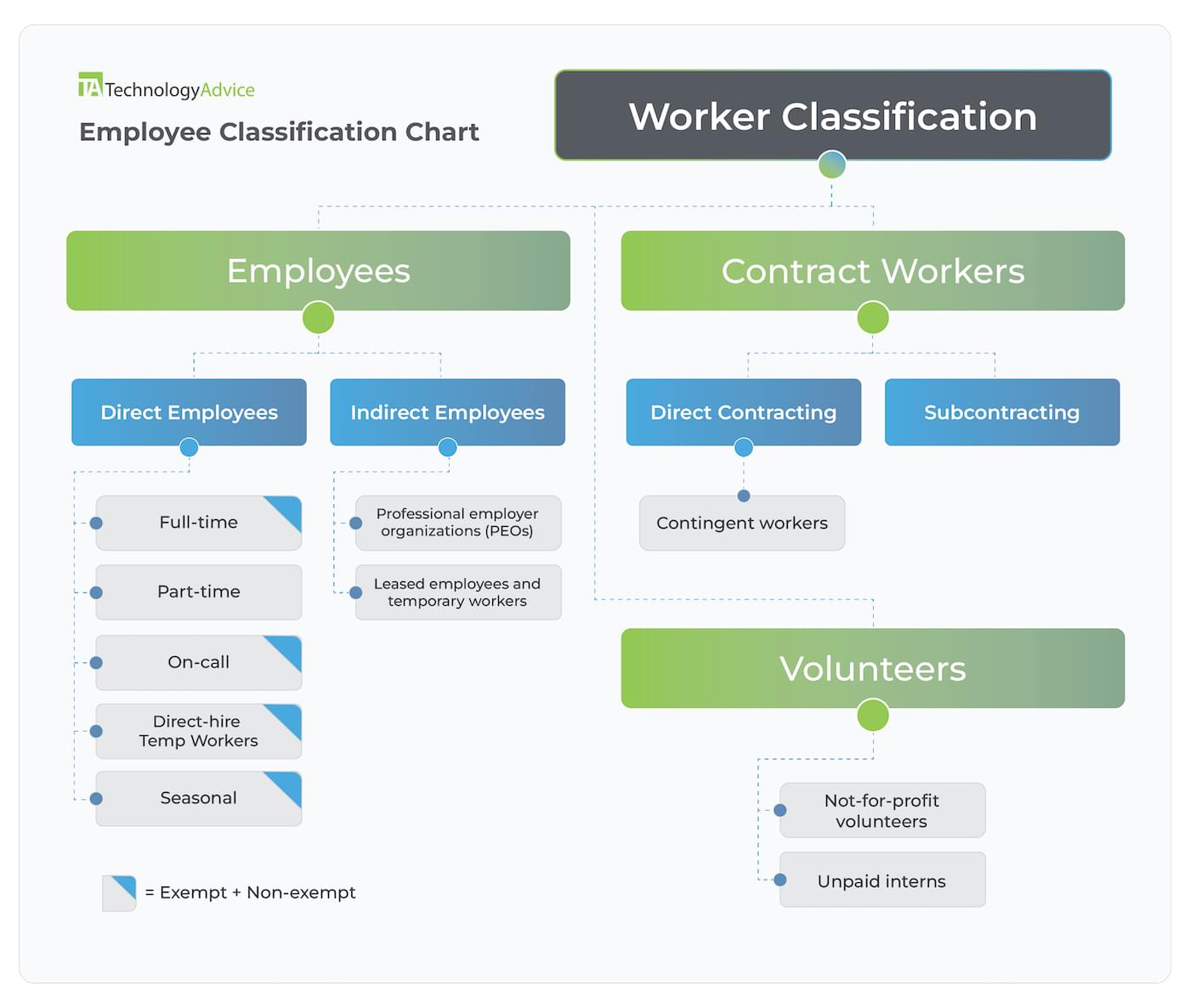 Illustrated chart that depicts the various employee classification types.