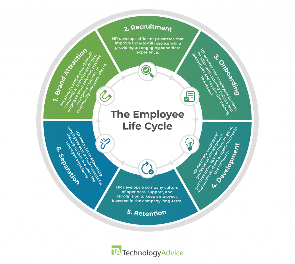Overview of HR’s role in the employee life cycle from brand attraction to separation.