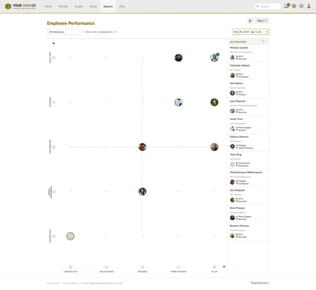 The BambooHR platform displays a visual map that indicates high and low performers.
